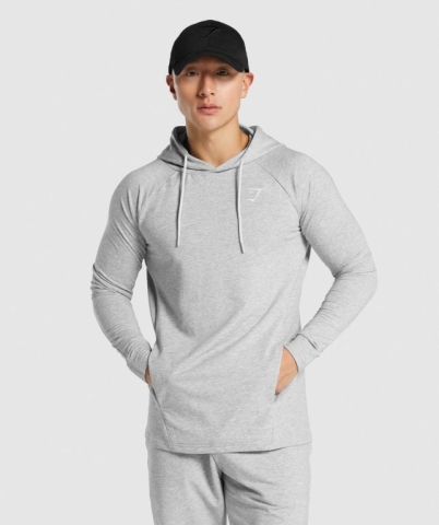 Light Grey Gymshark Critical 2.0 Men's Hoodies | US-69NERFH