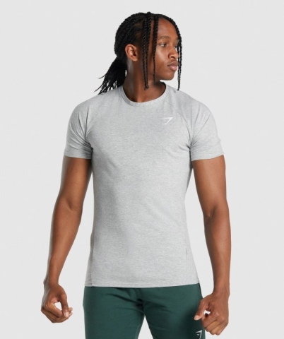 Light Grey Gymshark Critical 2.0 Men's T Shirts | US-14DGPZH