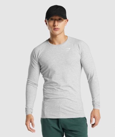 Light Grey Gymshark Critical 2.0 Men's T Shirts | US-30PLZMR