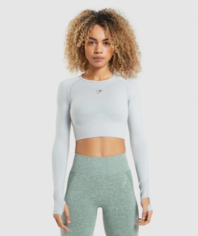 Light Grey Gymshark Flex Sports Crop Top Women's Sweatshirts | US-08MNYDA