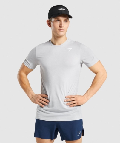 Light Grey Gymshark Sports Men's T Shirts | US-03NYXZL