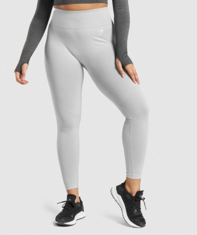 Light Grey Gymshark Vital Seamless 2.0 High Waisted Women's Leggings | US-14MBONY