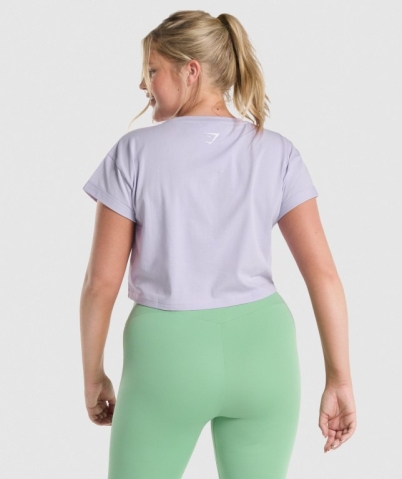 Light Purple Gymshark Fraction Crop Top Women's T Shirts | US-24YZICK