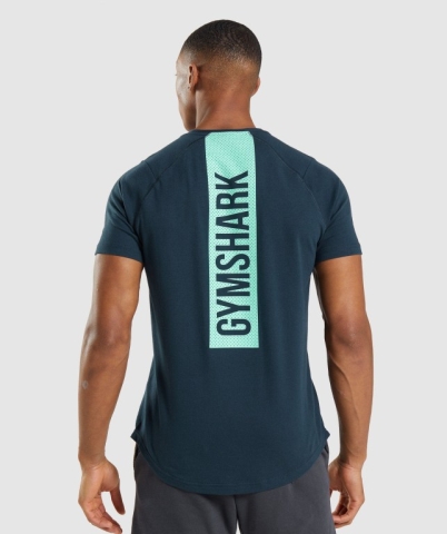 Navy Gymshark Bold Men's T Shirts | US-12DUEOR