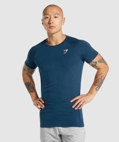 Navy Gymshark Critical 2.0 Men's T Shirts | US-90KNOGU