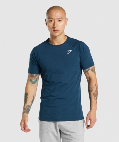 Navy Gymshark Critical 2.0 Men's T Shirts | US-95VETOL