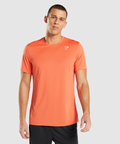 Orange Gymshark Arrival Men's T Shirts | US-52XKGCO