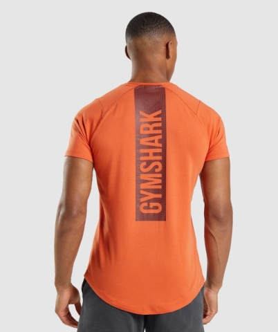 Orange Gymshark Bold Men's T Shirts | US-51WFEHP