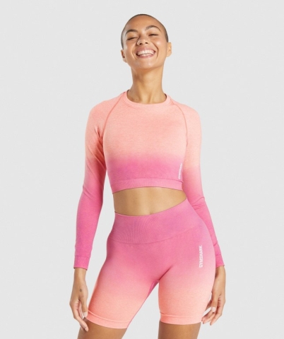 Orange / Pink Gymshark Adapt Ombre Seamless Crop Top Women's Sweatshirts | US-27QHBTD