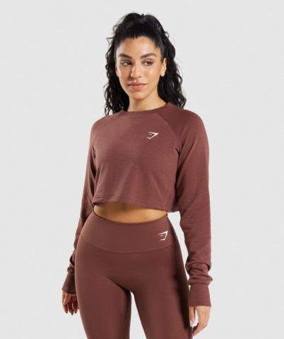 Pink Brown Gymshark Training Cropped Sweater Women's Hoodies | US-93ECLGX