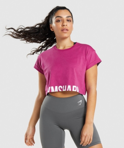 Pink Gymshark Fraction Crop Top Women's T Shirts | US-12XGKYA