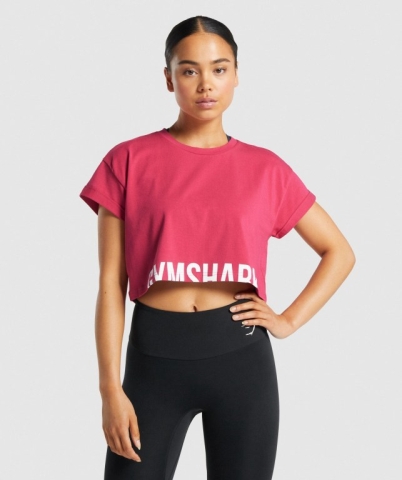 Pink Gymshark Fraction Crop Top Women's T Shirts | US-82CYSZG