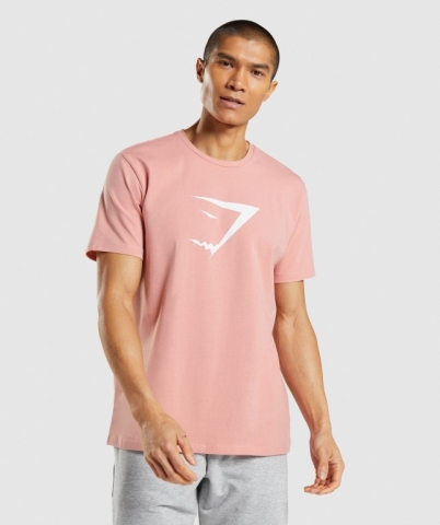 Pink Gymshark Sharkhead Infill Men's T Shirts | US-97XVTLG