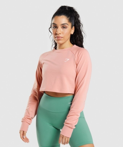 Pink Gymshark Training Cropped Sweater Women's Hoodies | US-42MZHWE