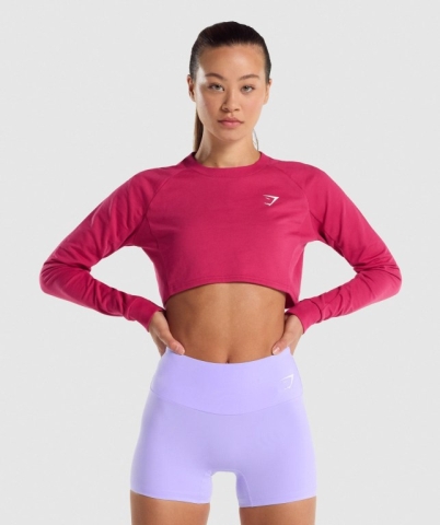 Pink Gymshark Training Cropped Sweater Women's Hoodies | US-72ORFWV