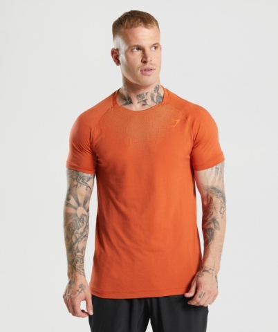 Red Gymshark Apex Contrast Men's T Shirts | US-73PXNUZ