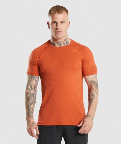 Red Gymshark Apex Perform Men's T Shirts | US-43MRTLY