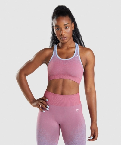 Rose Pink / Light Blue Gymshark Adapt Ombre Seamless Women's Sports Bra | US-08EXHVZ