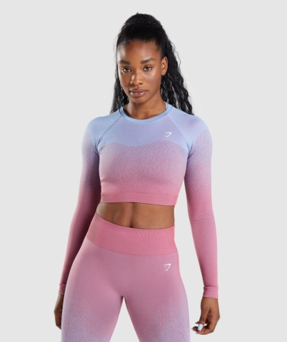 Rose Pink / Light Blue Gymshark Adapt Ombre Seamless Crop Top Women's Sweatshirts | US-37WJEMC