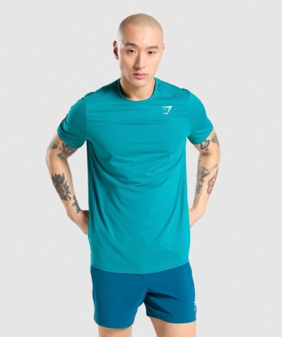 Turquoise Gymshark Arrival Regular Fit Men's T Shirts | US-09IWDQN