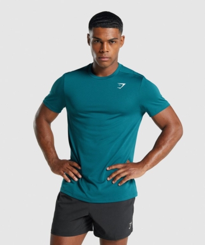 Turquoise Gymshark Arrival Regular Fit Men's T Shirts | US-95HMWIA