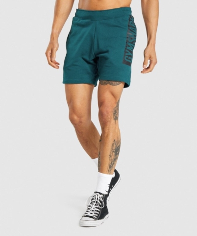 Turquoise Gymshark Bold Men's Shorts | US-18IXYBE