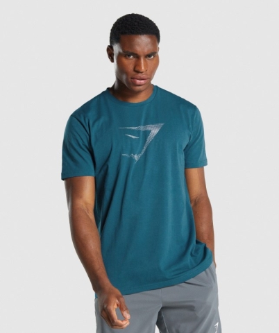 Turquoise Gymshark Sharkhead Infill Men's T Shirts | US-86AYVJL