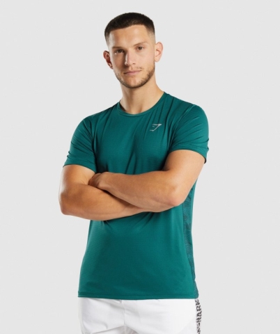 Turquoise Gymshark Sport Men's T Shirts | US-50TOMKE