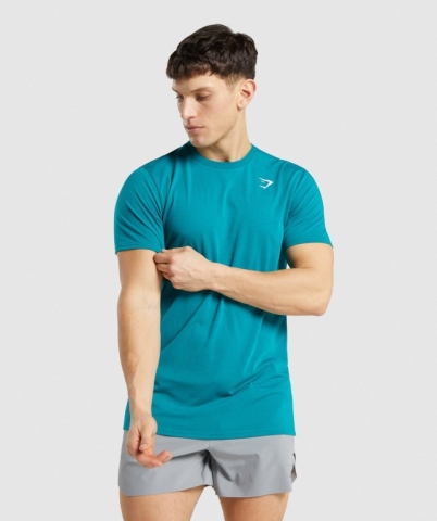 Turquoise Gymshark Sports Men's T Shirts | US-94KVMPJ