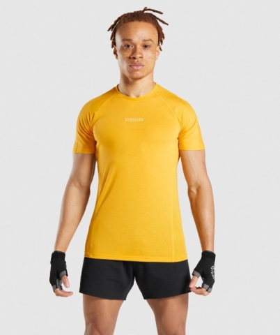 Yellow Gymshark Chalk Men's T Shirts | US-47LSXAQ