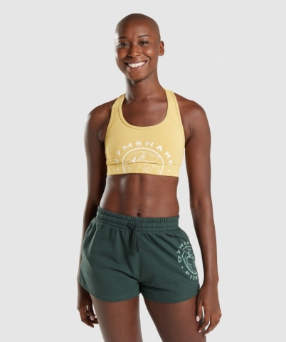 Yellow Gymshark Legacy Graphic Women's Sports Bra | US-16WBSDQ