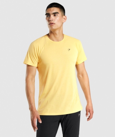 Yellow Gymshark Studio Men's T Shirts | US-63TVAKL