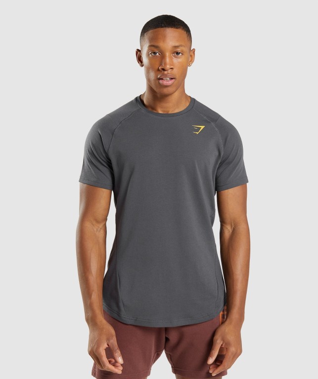 Black Grey Gymshark Bold Men's T Shirts | US-34GKOEF