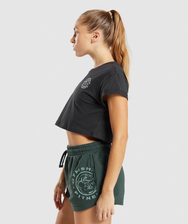 Black Gymshark Legacy Graphic Crop Women's T Shirts | US-09FIRDN