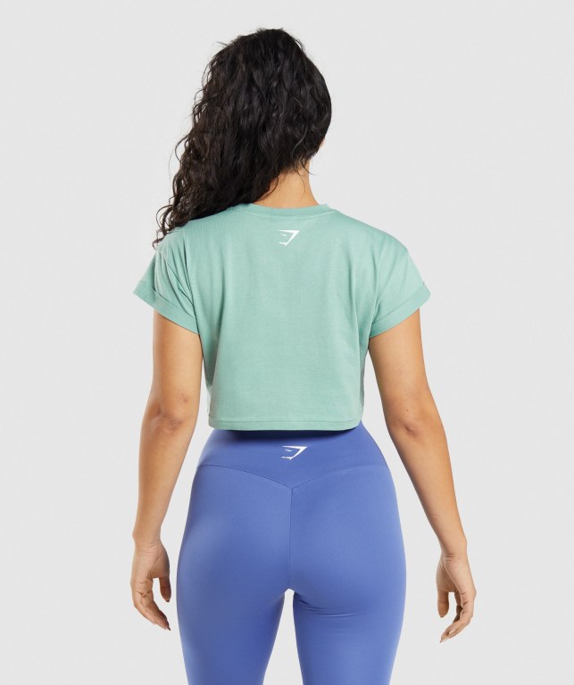 Blue Gymshark Fraction Crop Top Women's Sweatshirts | US-90EODRI