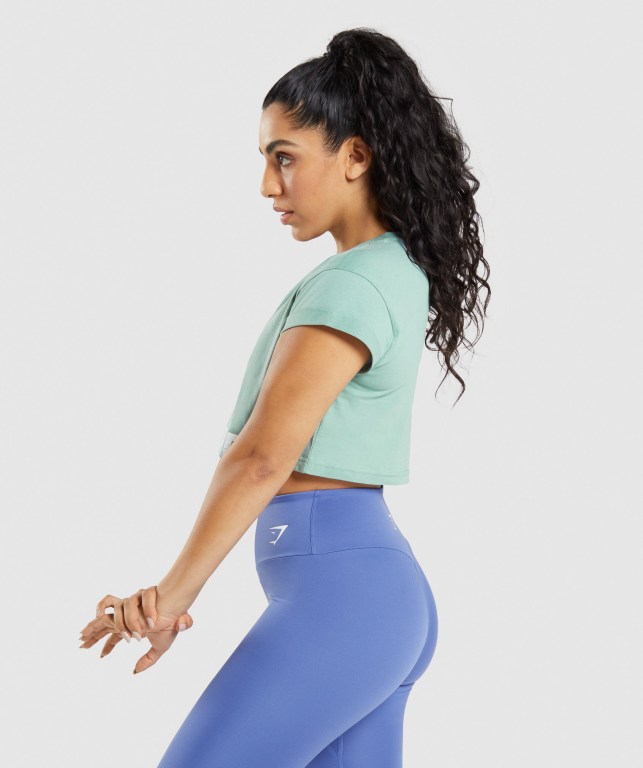 Blue Gymshark Fraction Crop Top Women's Sweatshirts | US-90EODRI