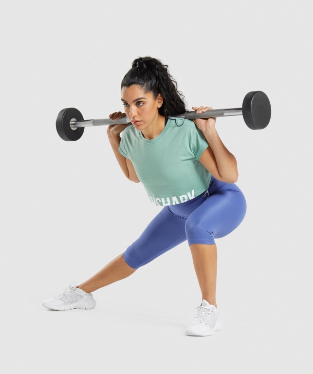 Blue Gymshark Fraction Crop Top Women's Sweatshirts | US-90EODRI