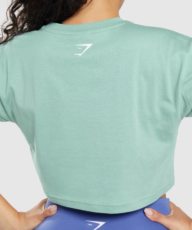 Blue Gymshark Fraction Crop Top Women's Sweatshirts | US-90EODRI