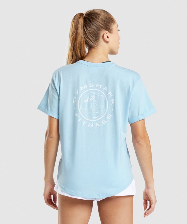 Blue Gymshark Legacy Graphic Women's T Shirts | US-43BDPMY