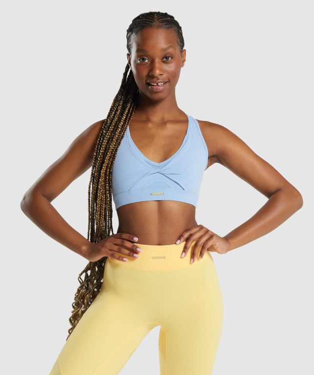 Blue Gymshark Whitney Mesh Women\'s Sports Bra | US-92QABFL