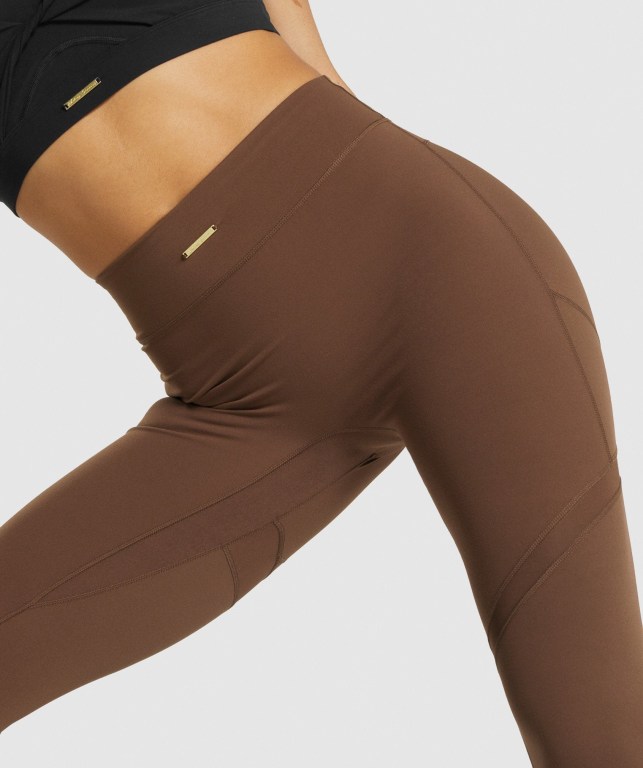 Brown Gymshark Whitney Mesh High Waisted Women's Leggings | US-12MNXYO