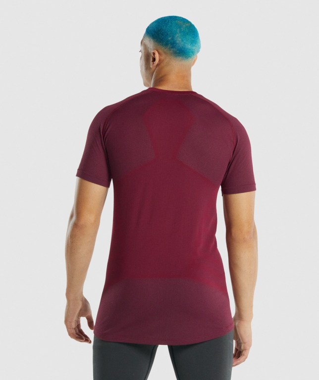 Burgundy Gymshark 315 Men's T Shirts | US-84QDACG