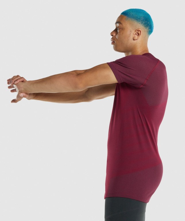 Burgundy Gymshark 315 Men's T Shirts | US-84QDACG