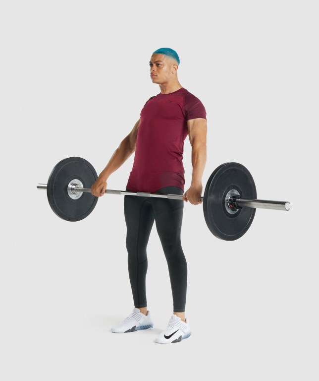 Burgundy Gymshark 315 Men's T Shirts | US-84QDACG