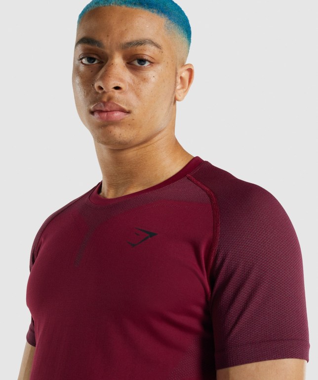 Burgundy Gymshark 315 Men's T Shirts | US-84QDACG