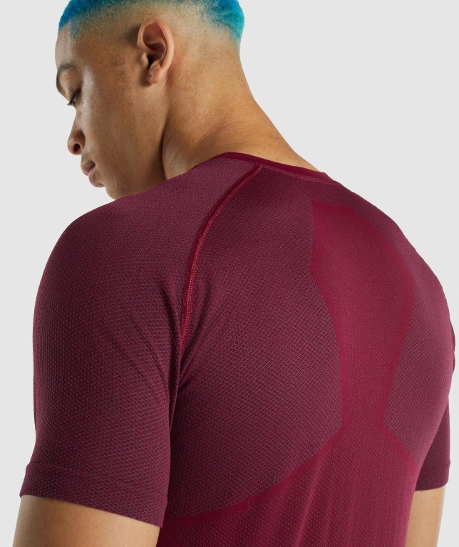 Burgundy Gymshark 315 Men's T Shirts | US-84QDACG