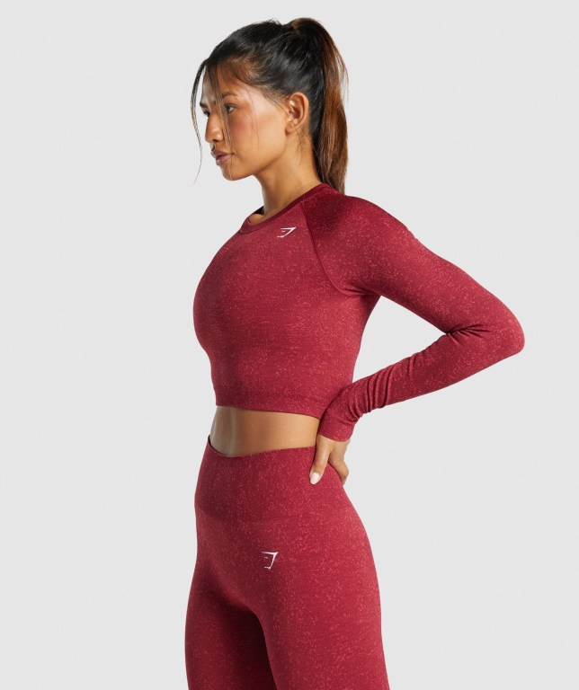 Burgundy Gymshark Adapt Fleck Seamless Crop Top Women's T Shirts | US-08TVWEP