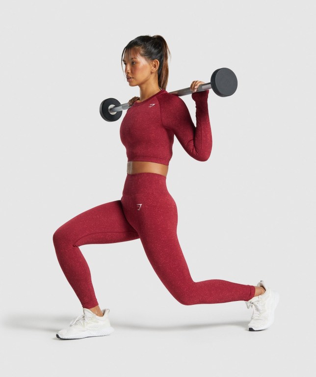 Burgundy Gymshark Adapt Fleck Seamless Crop Top Women's T Shirts | US-08TVWEP