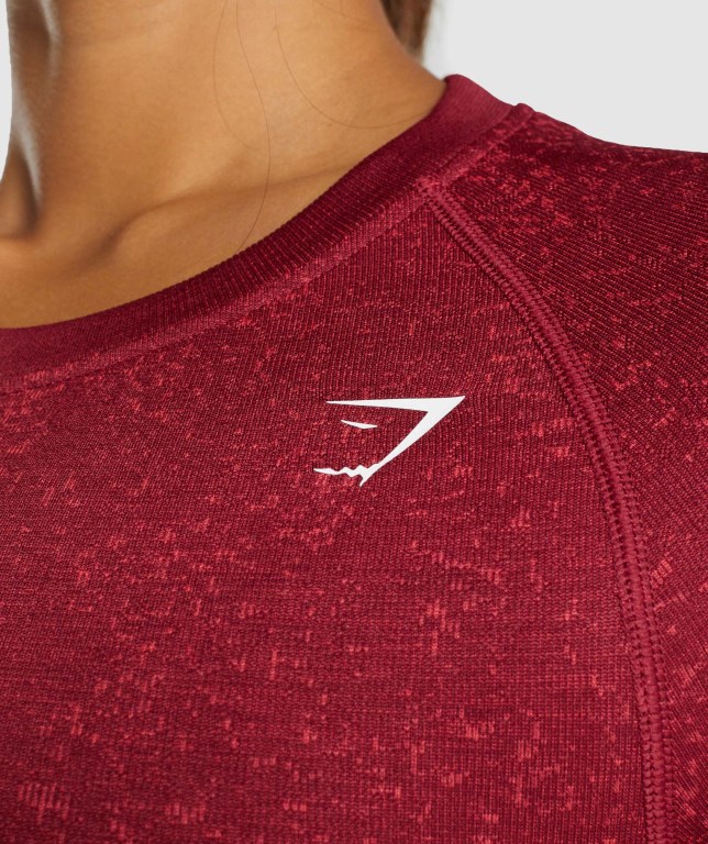 Burgundy Gymshark Adapt Fleck Seamless Crop Top Women's T Shirts | US-08TVWEP