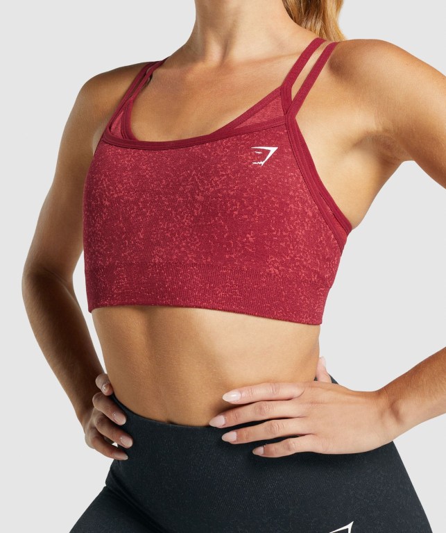 Burgundy Gymshark Adapt Fleck Seamless Women's Sports Bra | US-67ZWVPK